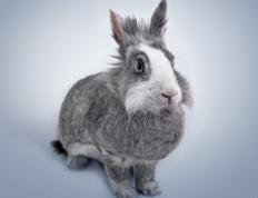 开云体育APP下载-草根马里的惊世一击，当非洲铁骑冲垮西甲贵族