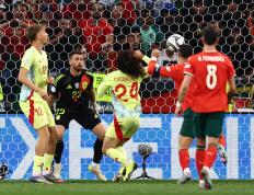 开云官方app入口-荷兰队在比赛中战胜葡萄牙，取得了胜利