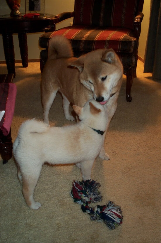 开云体育APP下载-草根马里的惊世一击,当非洲铁骑冲垮西甲贵族