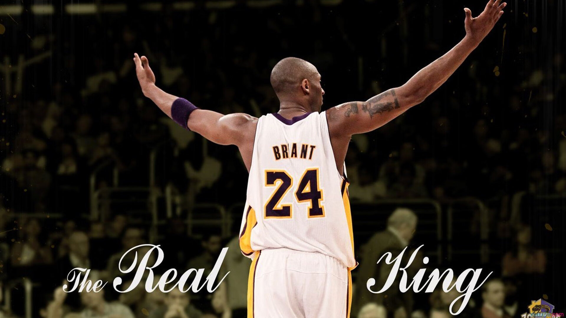 开云官方app入口-真王只有一个！西亚卡姆奏响凯尔特人凯旋曲，冷血末节击溃国王